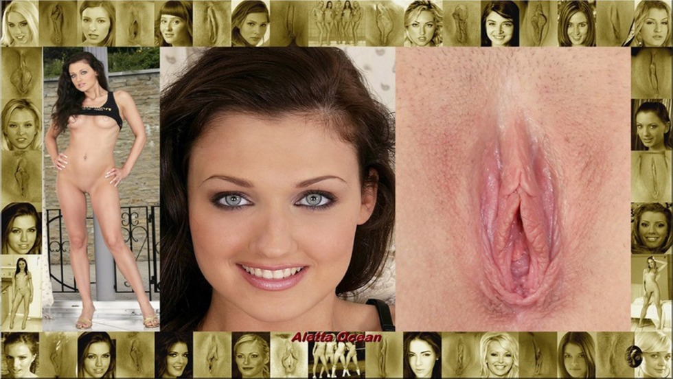 Beautiful vaginas of blondes