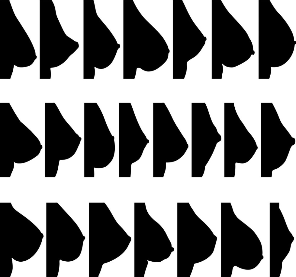 Different forms of female breast