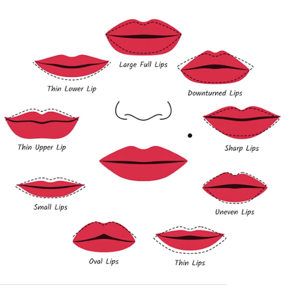 Forms of the lips and their names