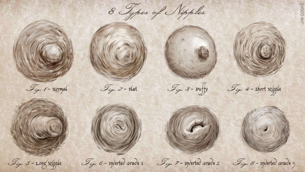 Types of nipples in women