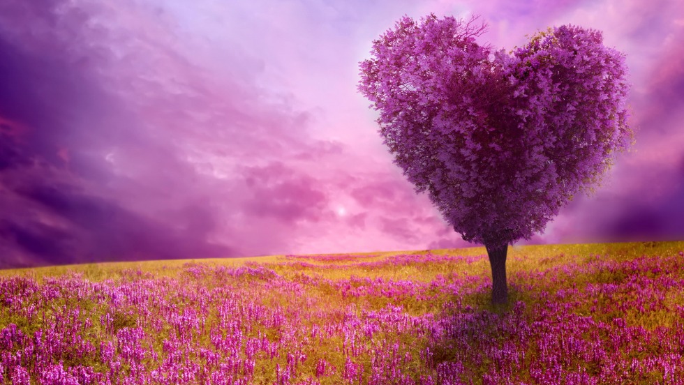 Beautiful lilac trees