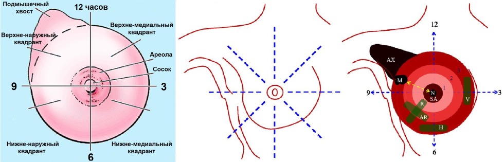 Mother and adult daughter silhouette