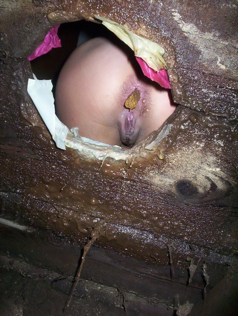 Lesbian Copro Domination