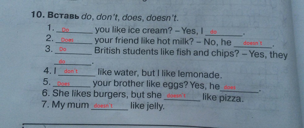 Insert Do Don 'Deesn'T Grade 3