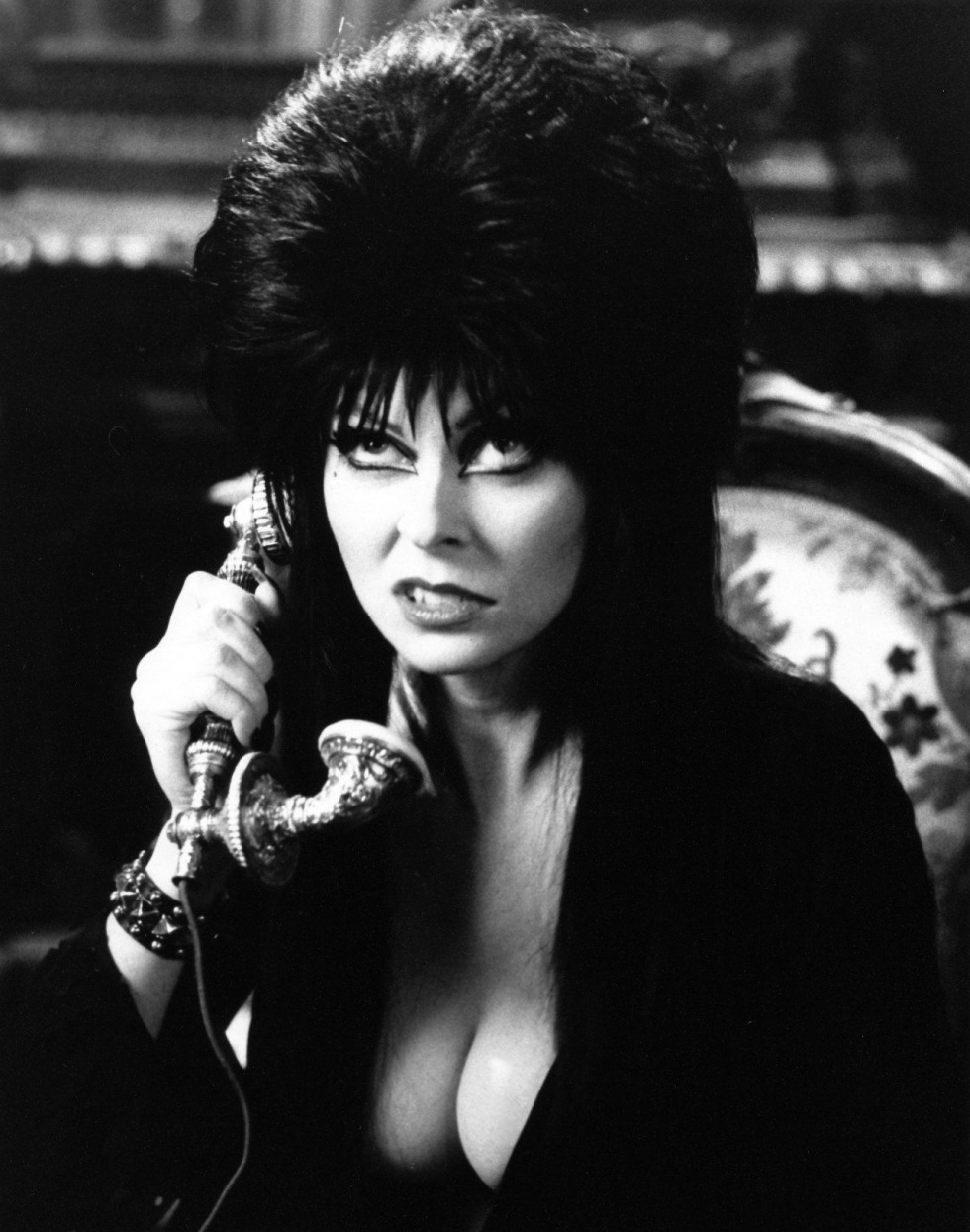 Elvira T Merch
