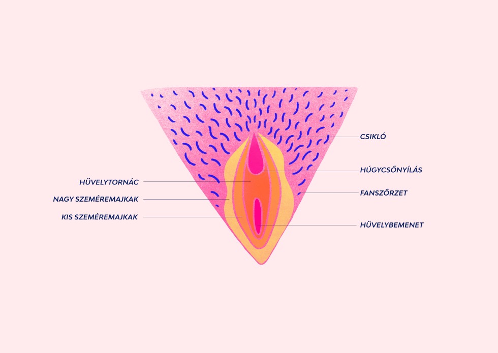 Play button without background white