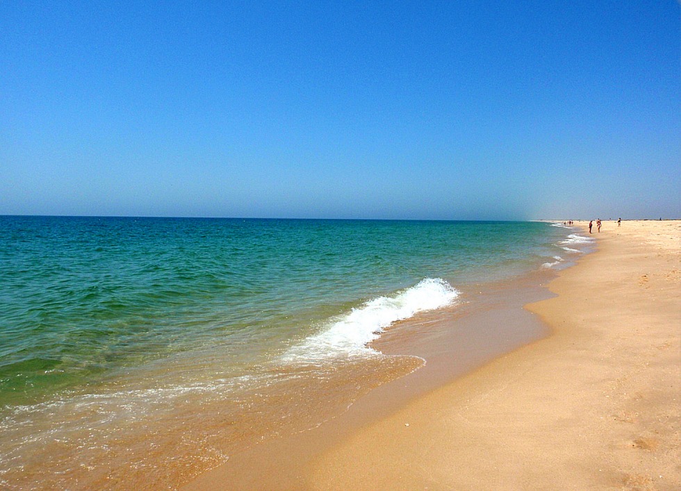 FRZ.TEMP refrigerator