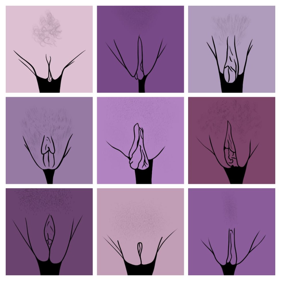 Forms of female vagina