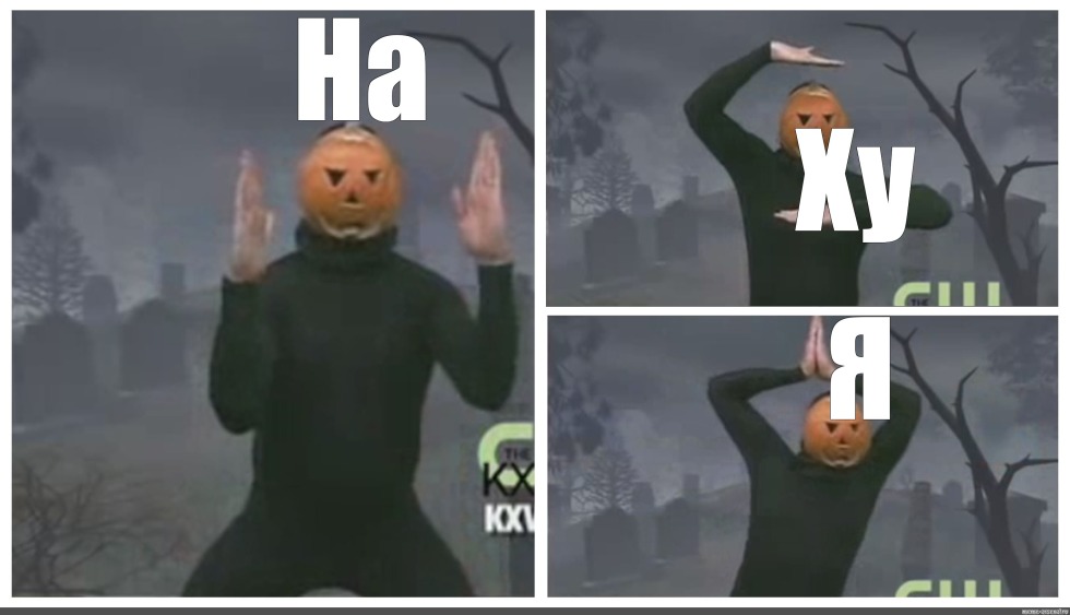 Funny pictures with inscriptions to tears about life