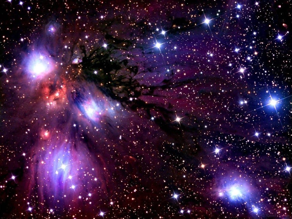 Julia Margulis is hot