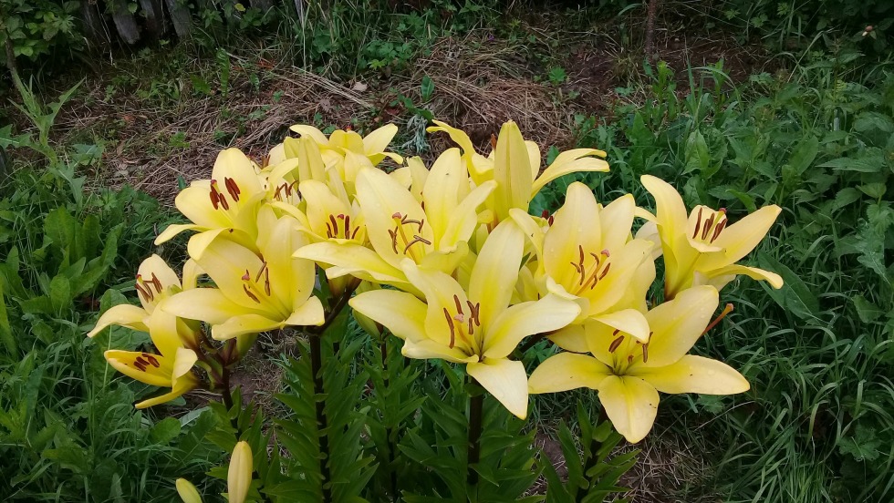 Found Marina Igorevna