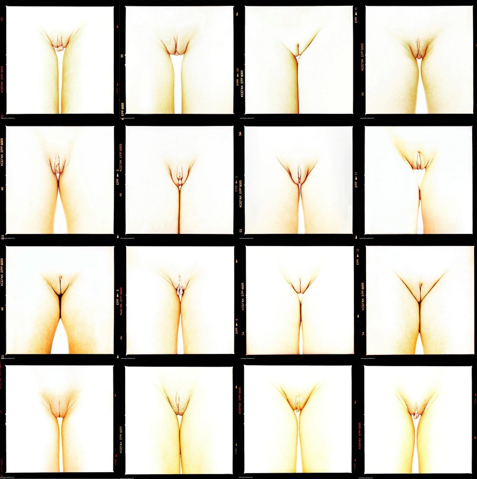 Various forms of vagina