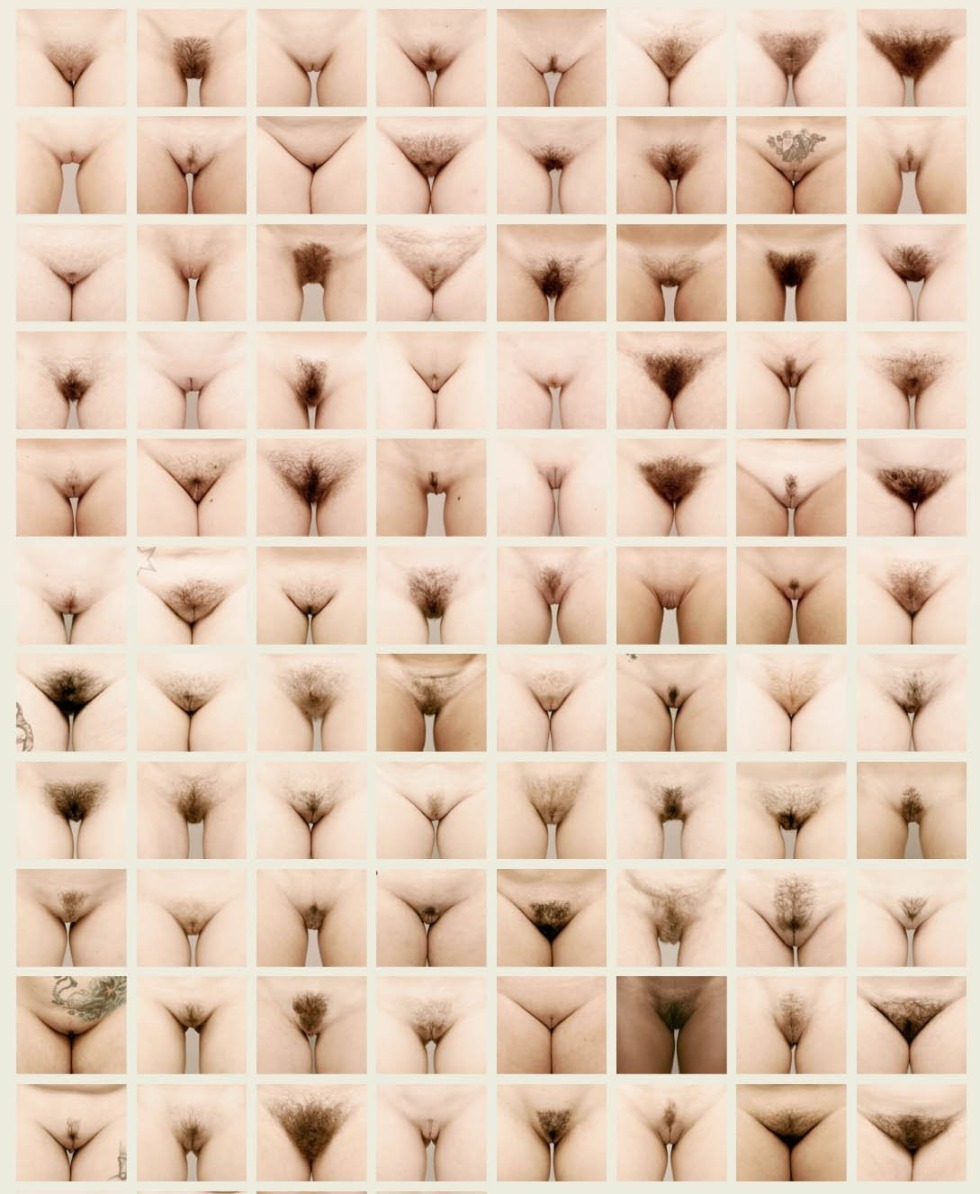 Varieties of vaginal photos