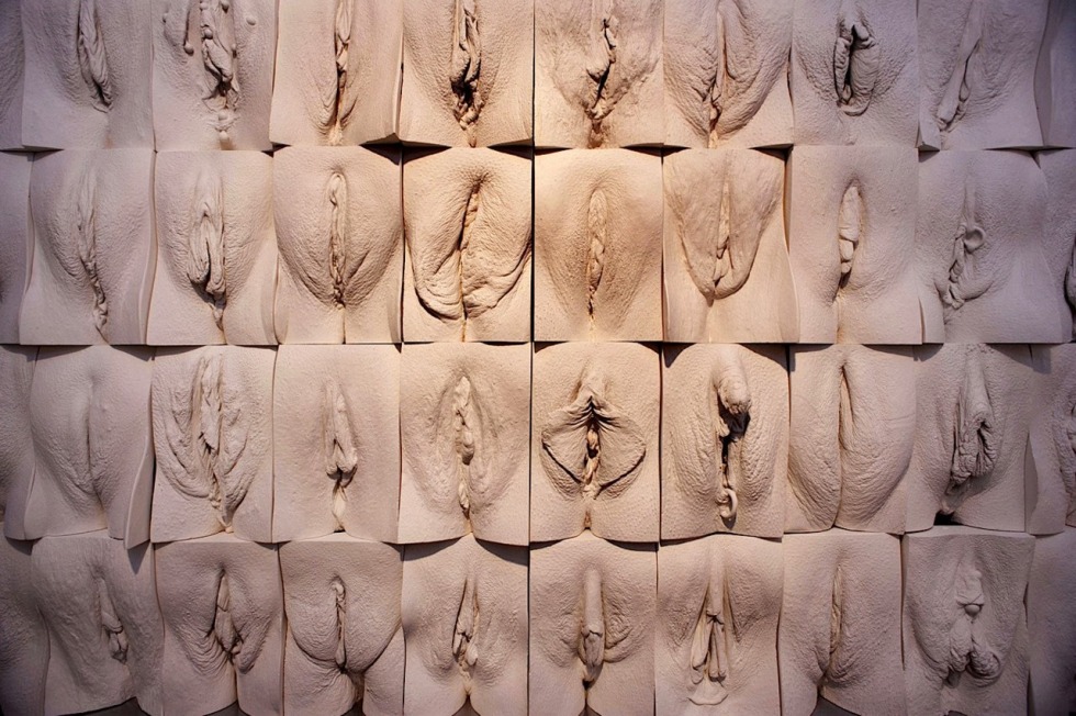 Forms and location of the vagina