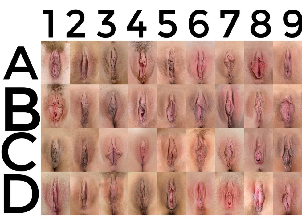 Women's vaginas of different races