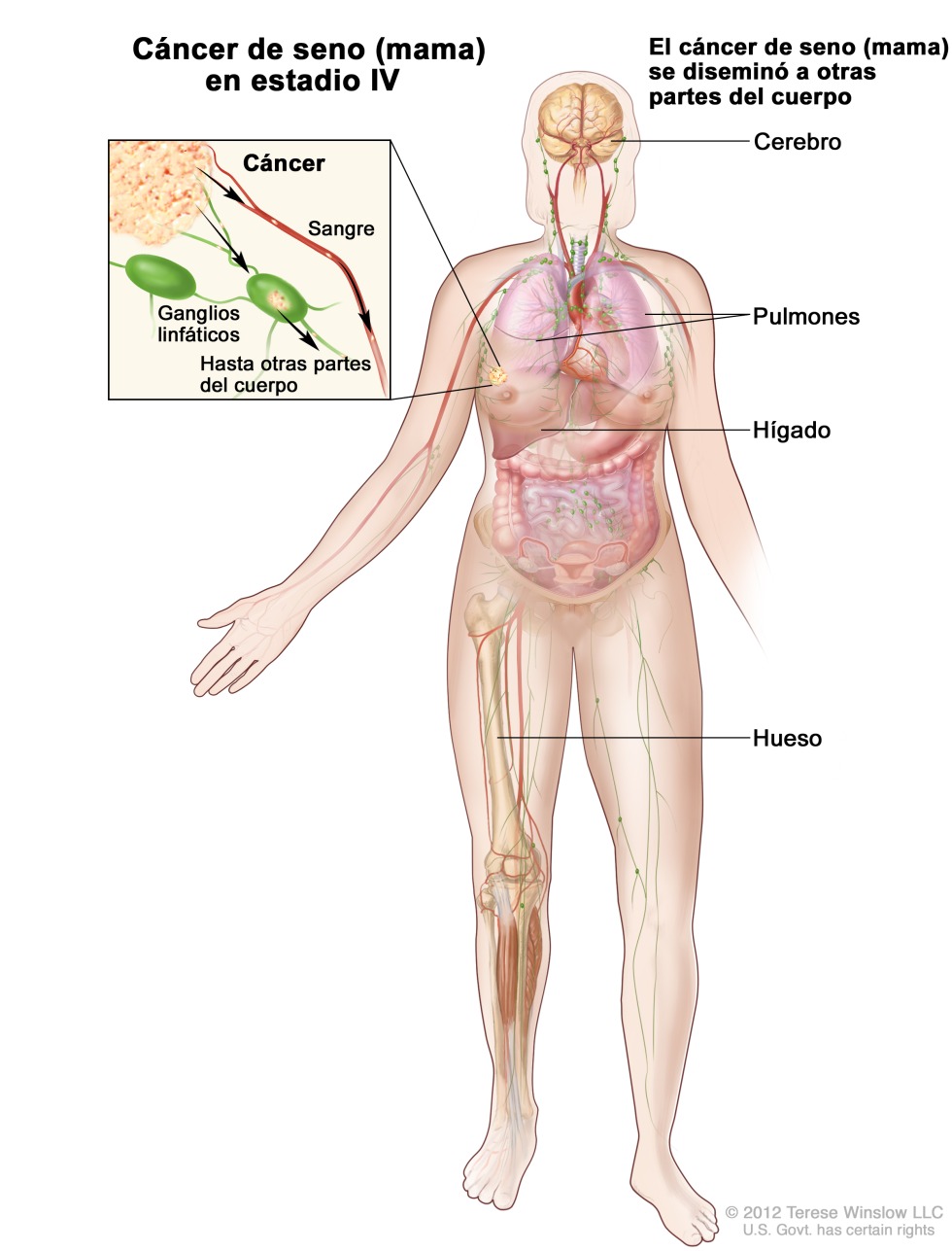 Black Woman Fucking White Man Interracial Sex