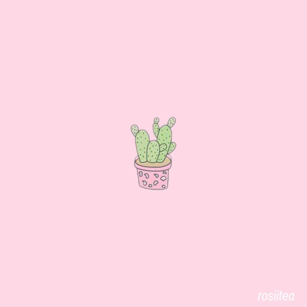 Cactus Mirtill