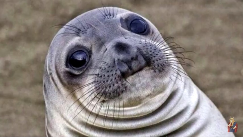 Anime girls in swimsuits