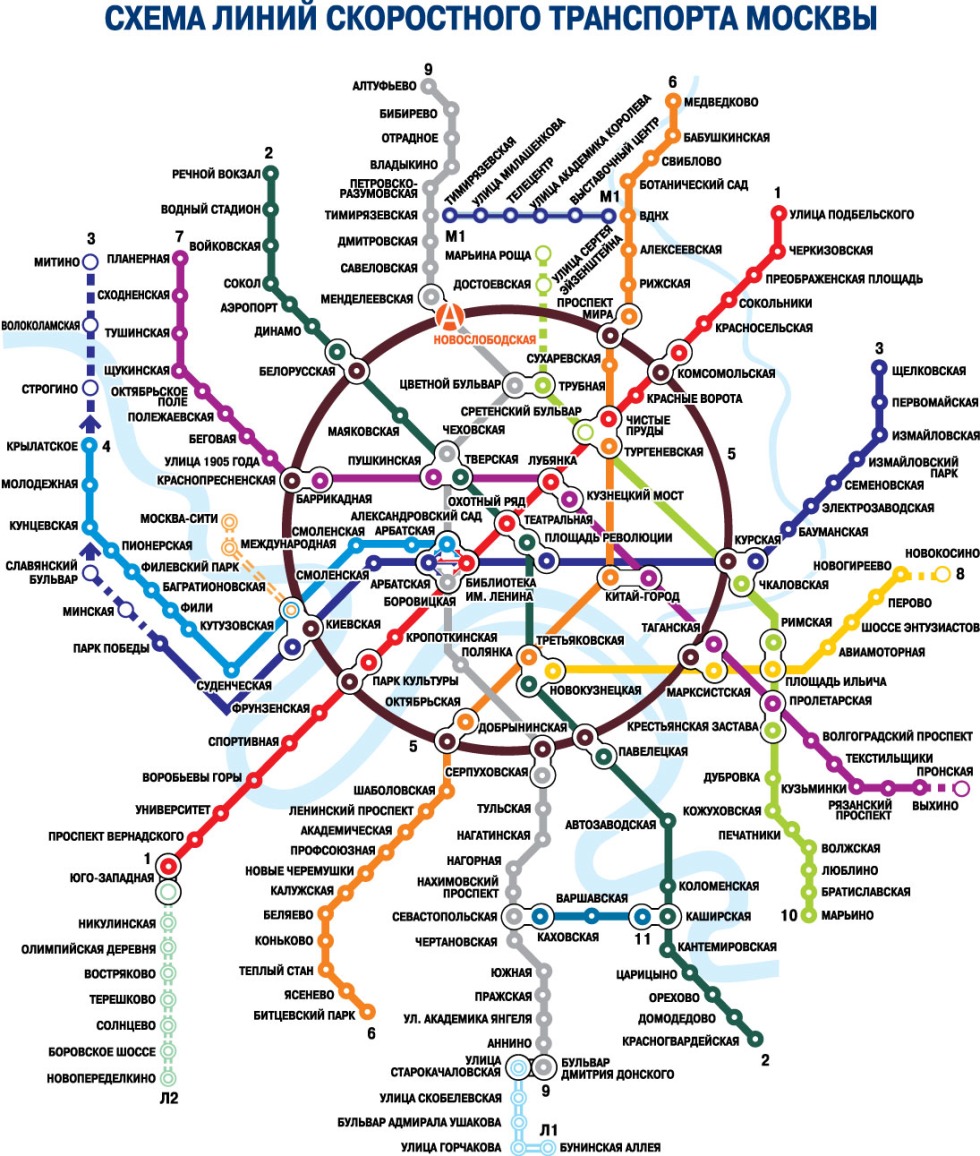 Hairy pussy in stockings Private