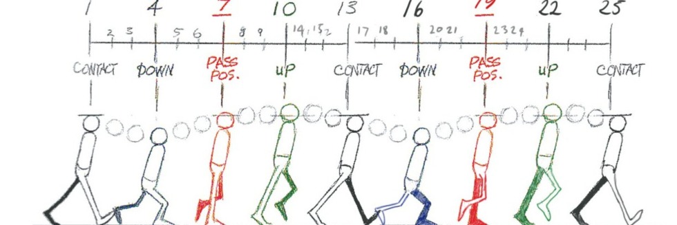 Collars under a skirt