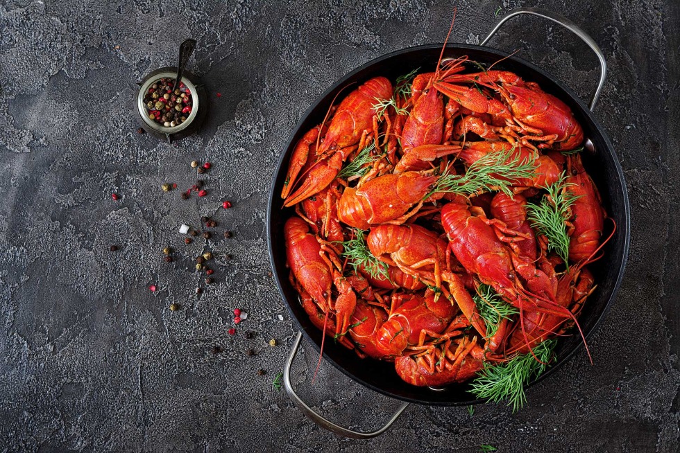 Fried lobster on a plate from above