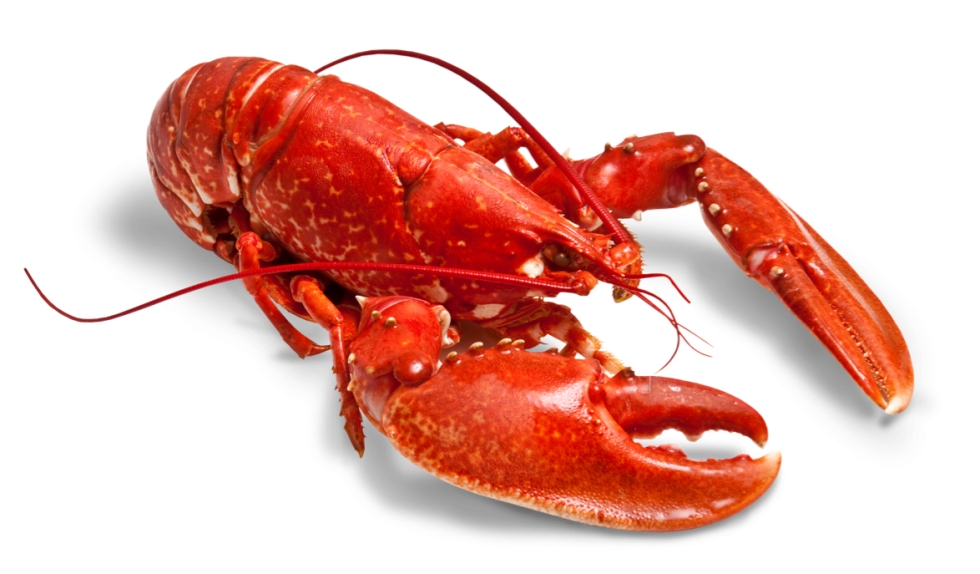 Homemade Cooney of the Russian woman