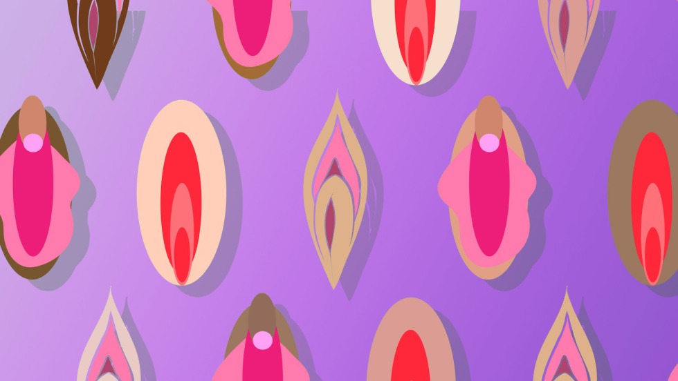 Stylized images of the vagina