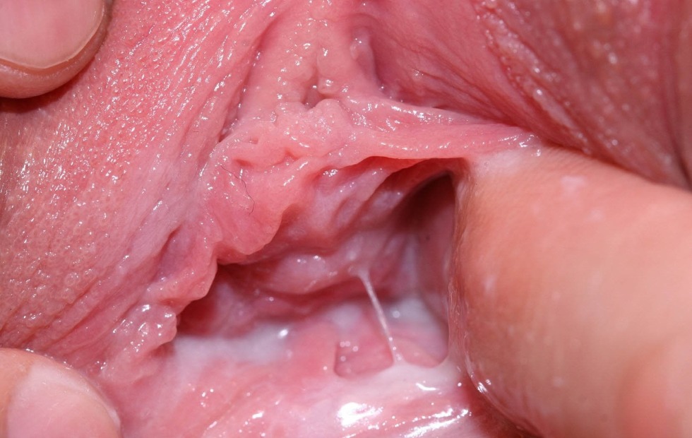 Healthy vagina from the inside
