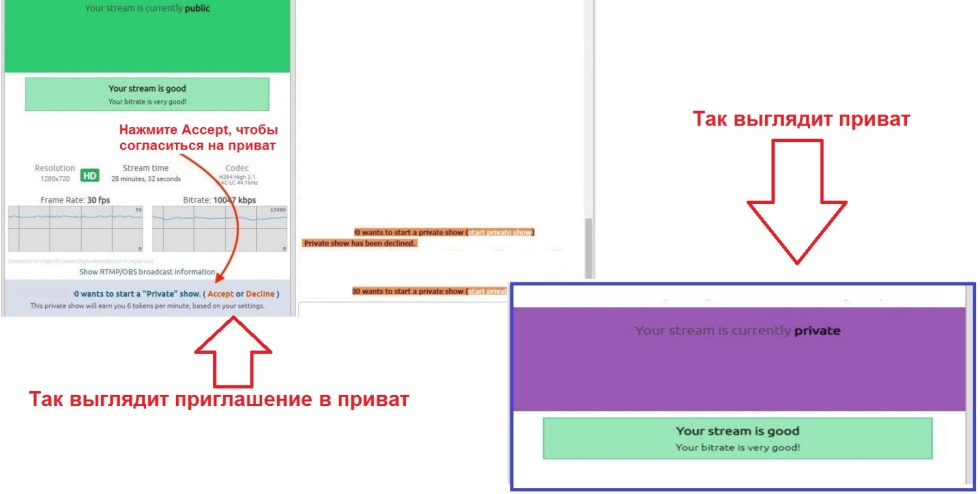 Read and Complete the Sentences