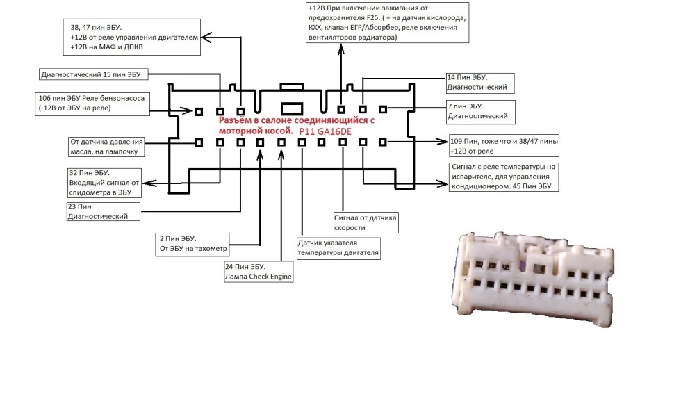 Larred stars Ural dumplings