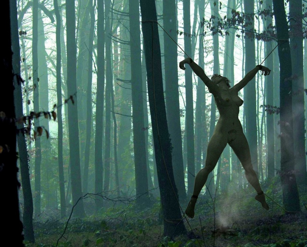 Find a Man Tied Nude to a Tree in the Woods and Suck His Naked Dick