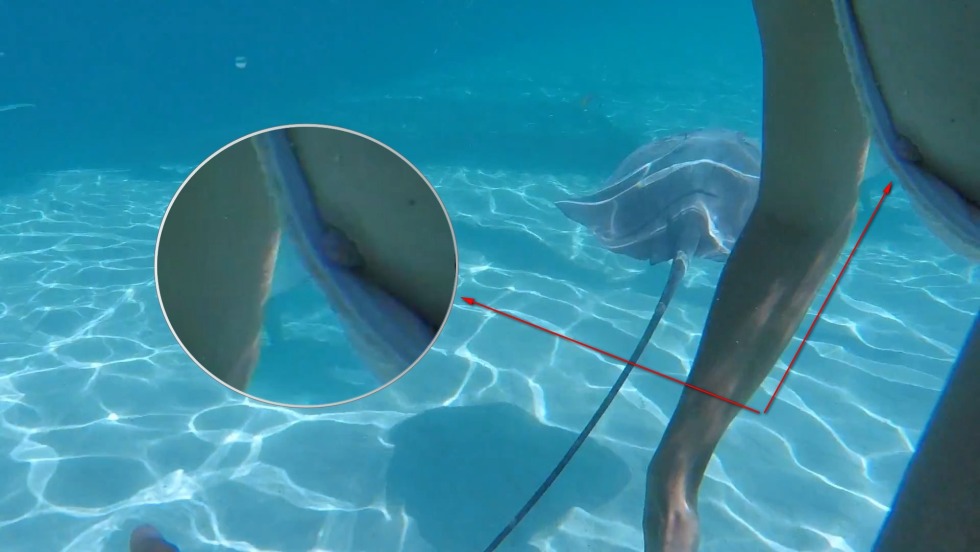 Regina Ice Pornstar machine