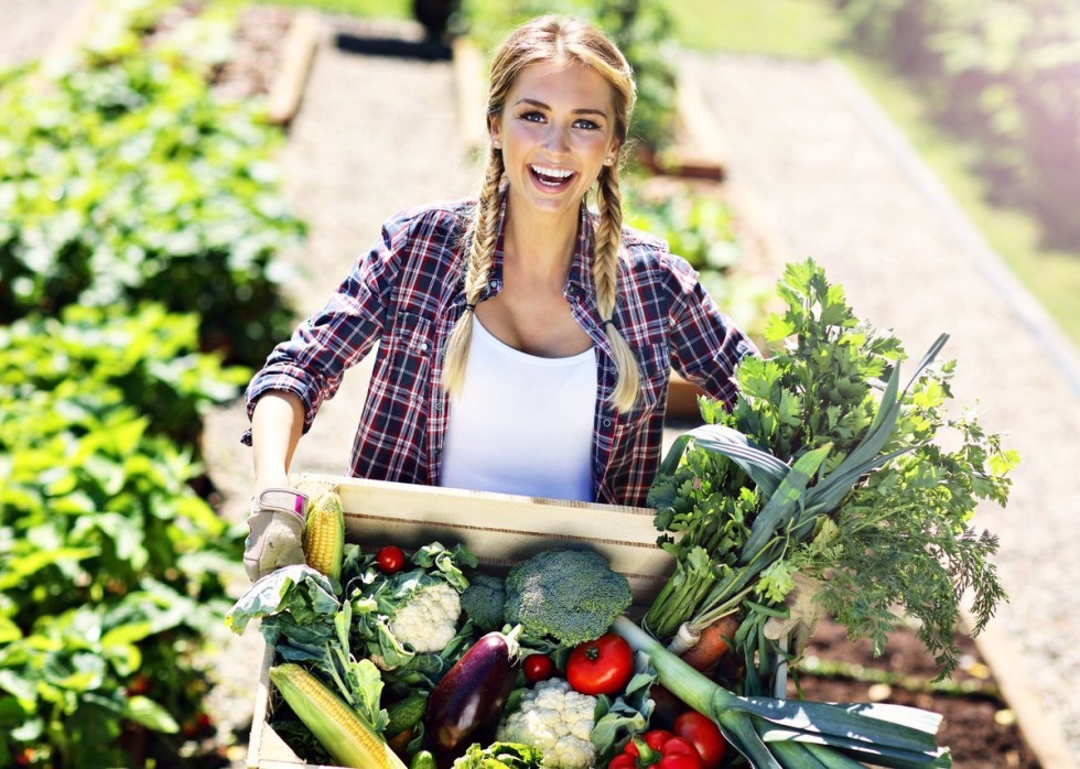 Pornography in the car