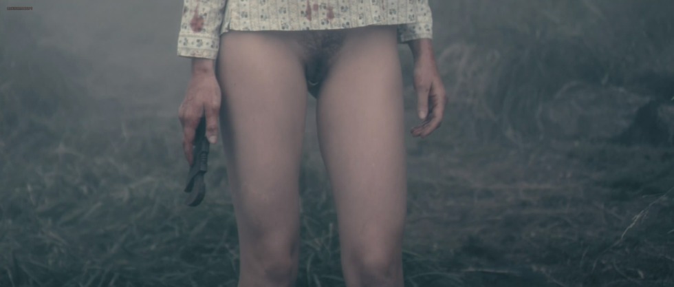 Charlotte Hens Bourgon Vol 2013 2013