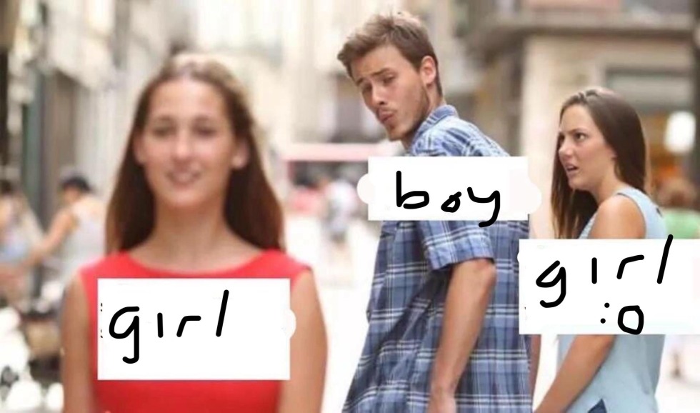 Summary of the developer