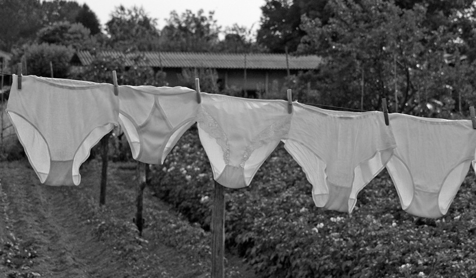 Old cowards are female