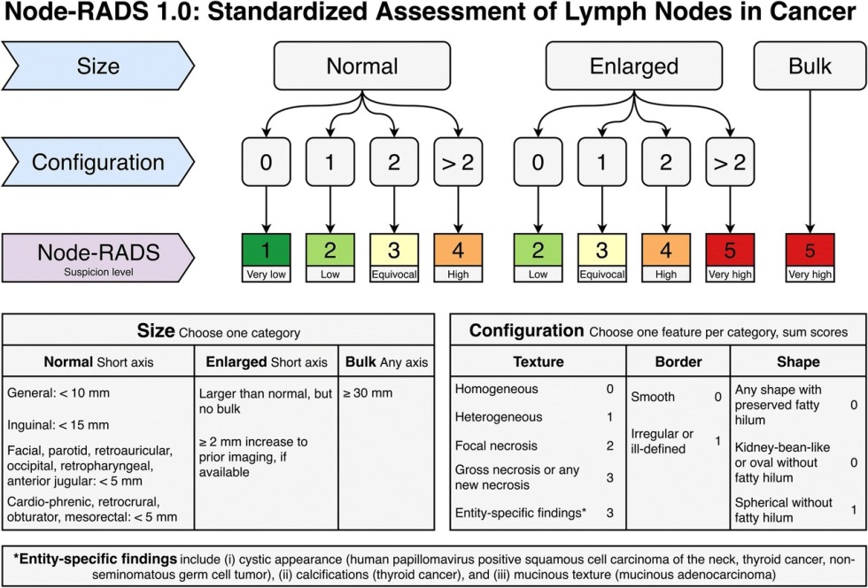 Classification ORADS