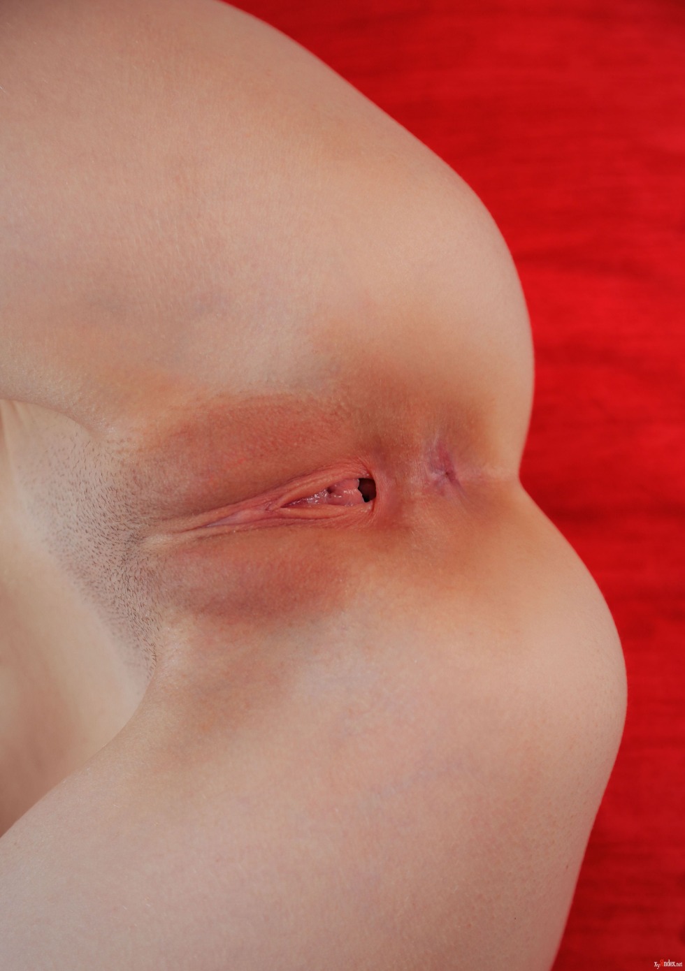 Tatyana Misyura Emily Bloom XXX