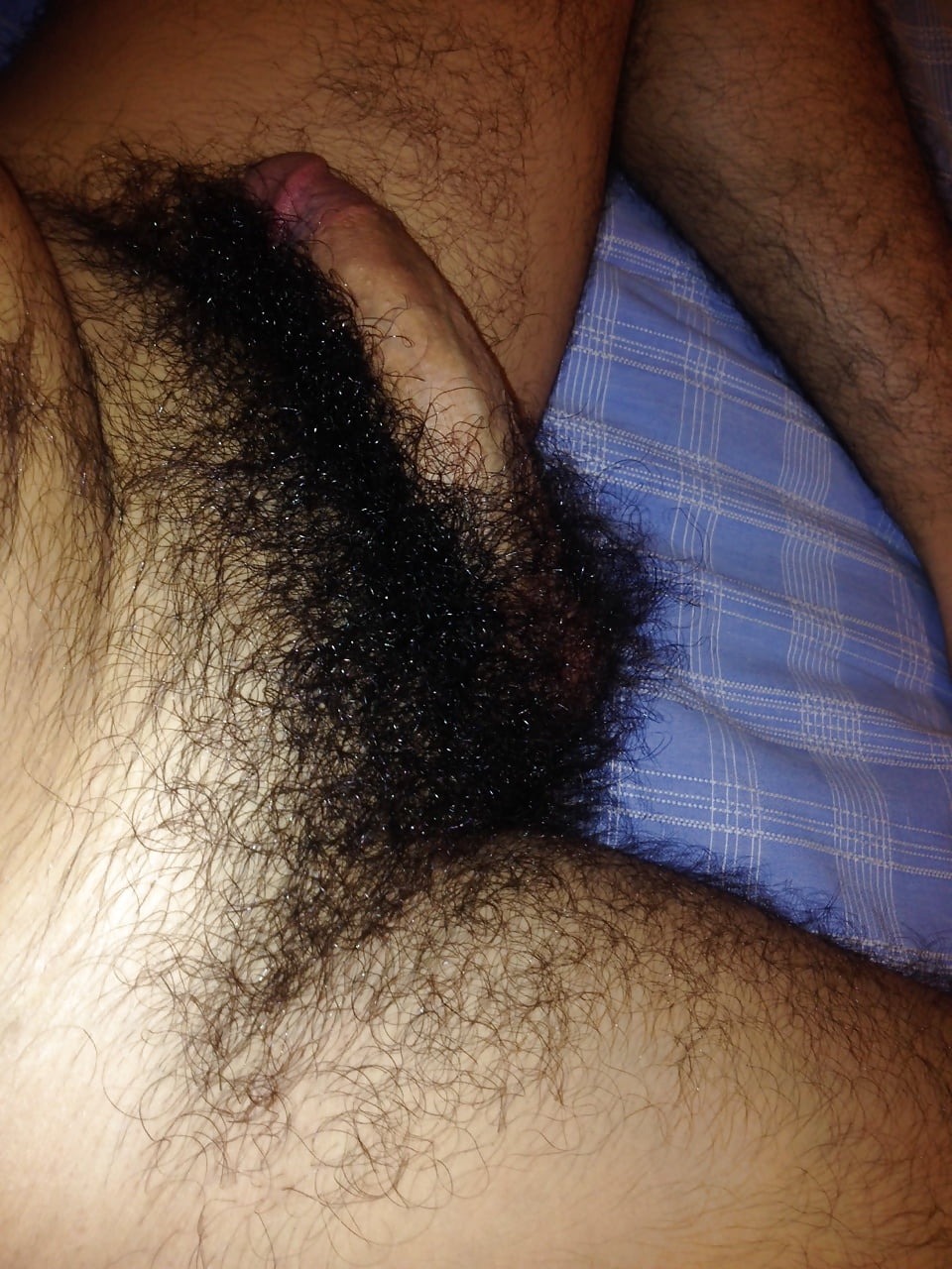 Hairy Cock Il