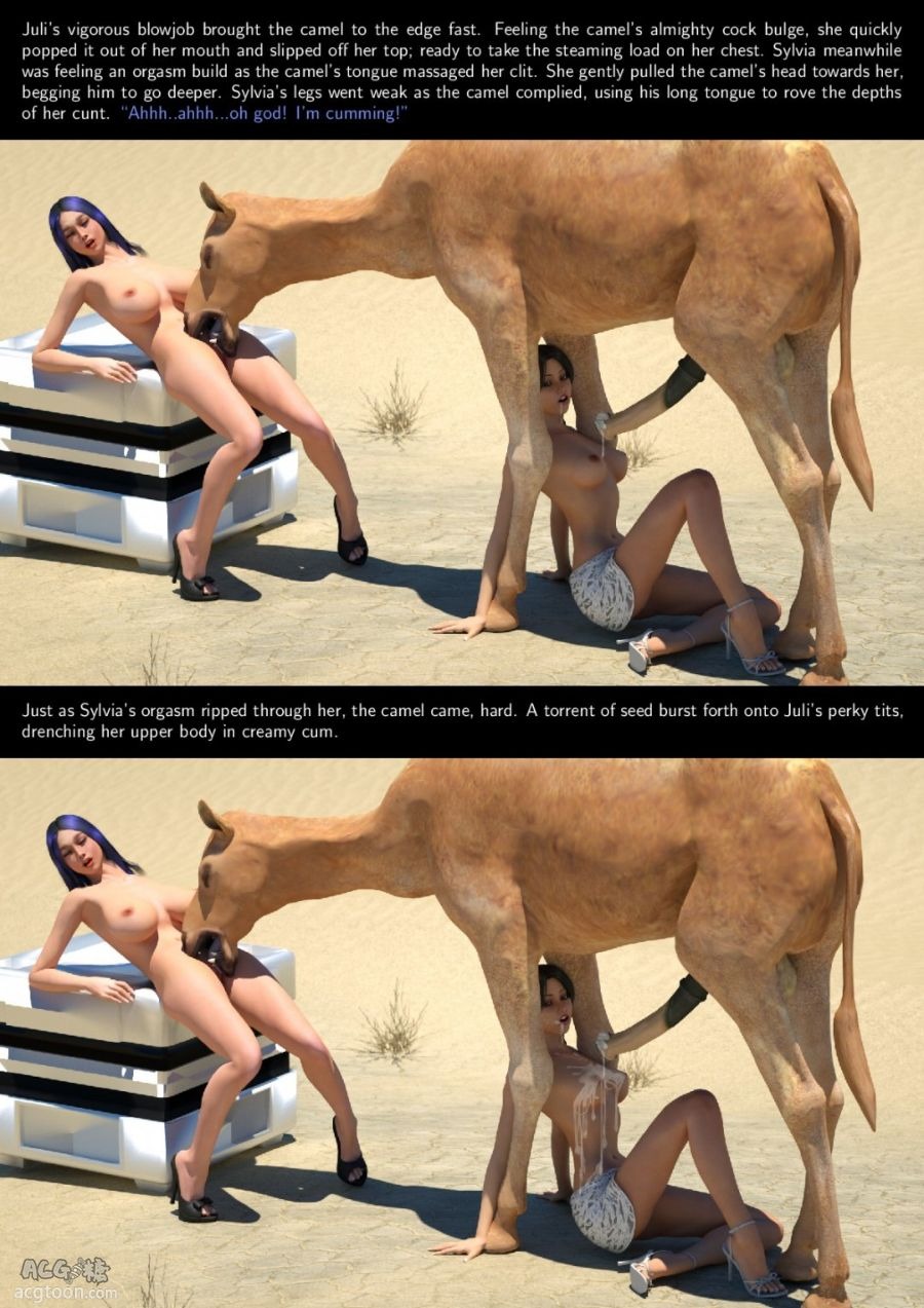 Camel vagina close -up