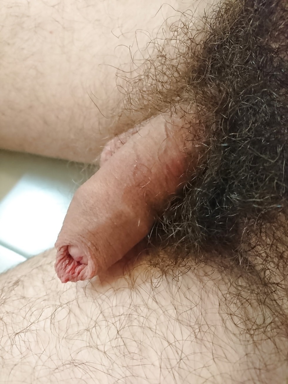 Hairy men with huge members