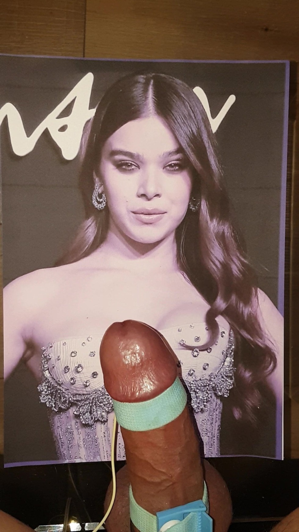 Haley Styinfeld Dip Fake XXX