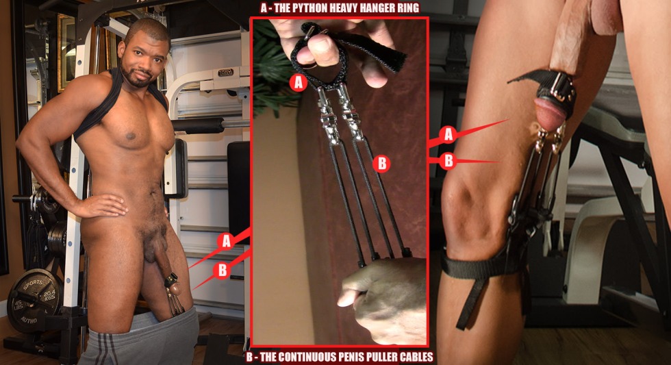 Several beautiful members