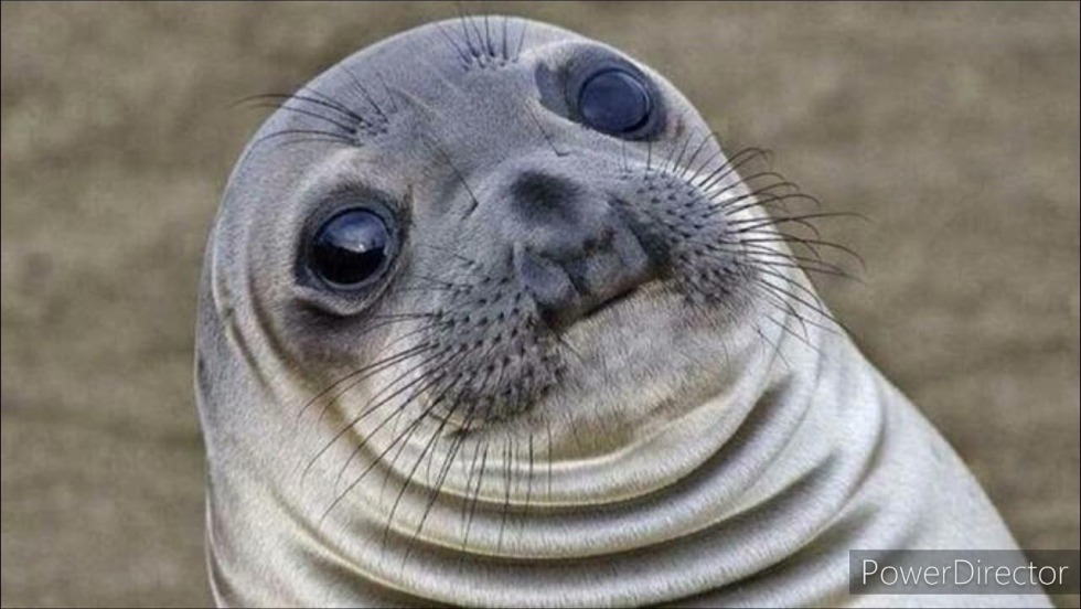 Male fantasies in bed