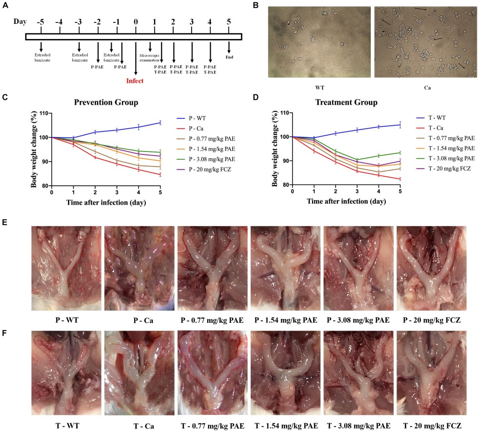 Young couple sleeps I touch