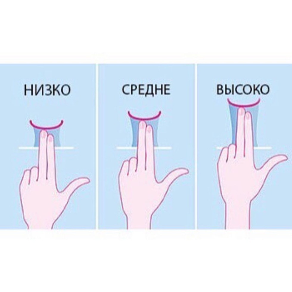 Kaya Skogladario Fak