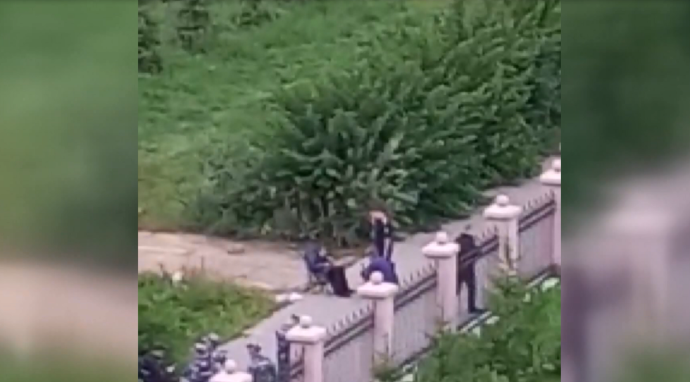 JoSlin James Brazzers