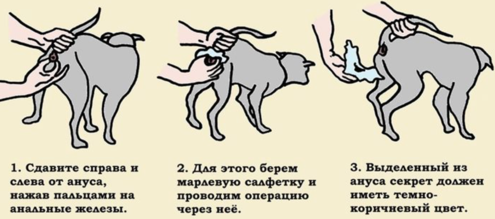 Theater Leoni in erotic scenes