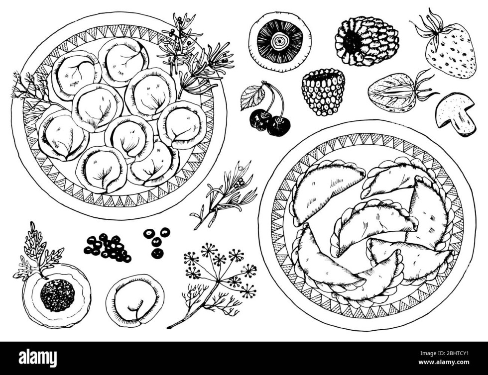 Vector ornaments of dumplings
