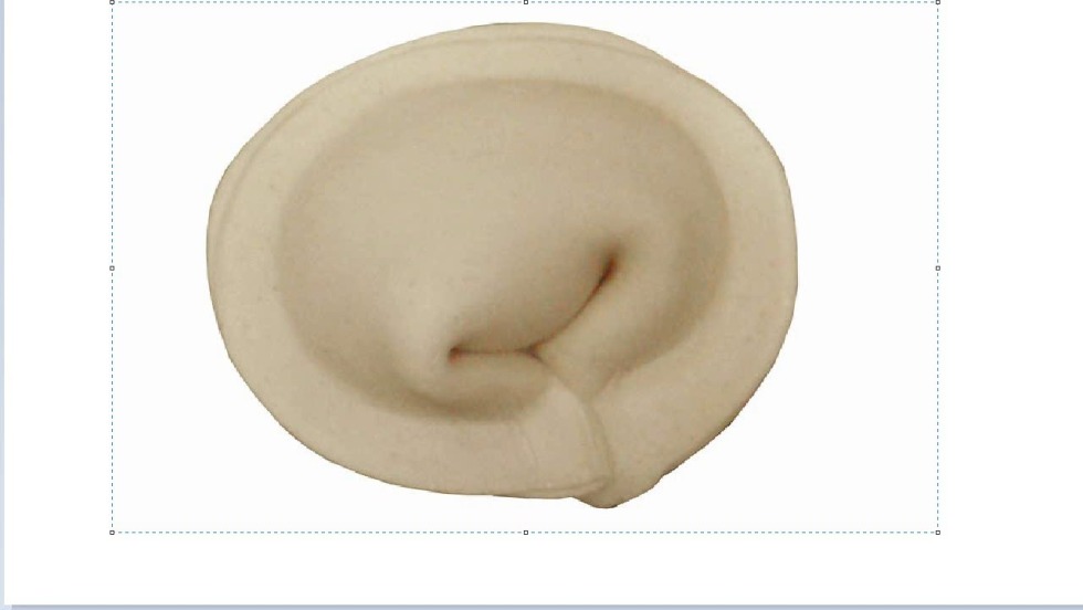 The dumplings are one